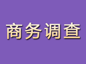 霞山商务调查